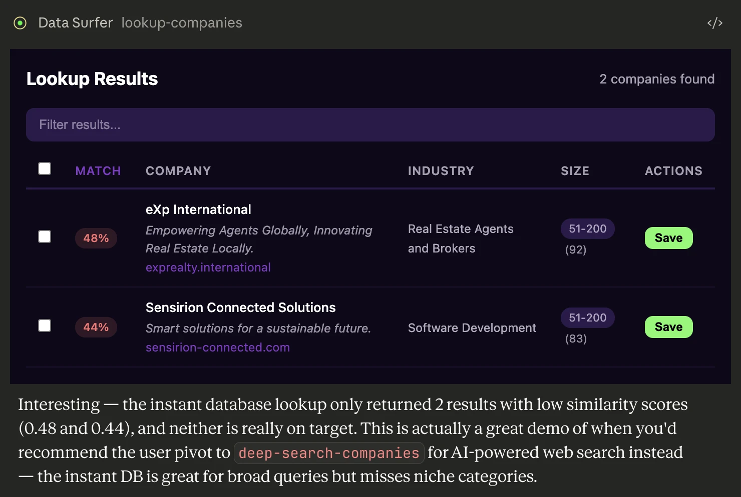 Data Surfer lookup-companies results showing 2 companies found with match percentages, industry, and size columns